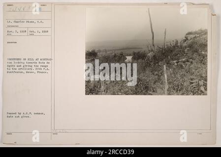 Beobachter auf einem Hügel in Montfaucon, Frankreich, blicken auf Bois de Ogons und liefern Informationen über die Reichweite der Artillerie während des Ersten Weltkriegs. Dieses Foto wurde von LT. Charles Stone, S.C. aufgenommen und ist Teil der Sammlung „Fotos amerikanischer Militäraktivitäten während des Ersten Weltkriegs“. Stockfoto