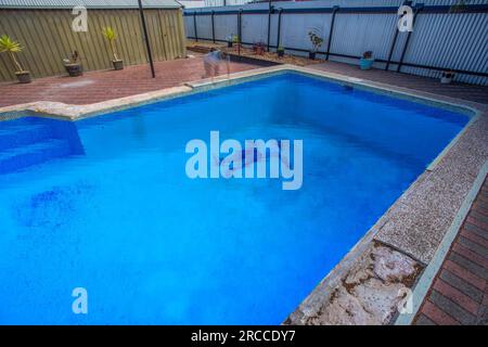 Ein Geist, der sich im Pool anschaut Stockfoto