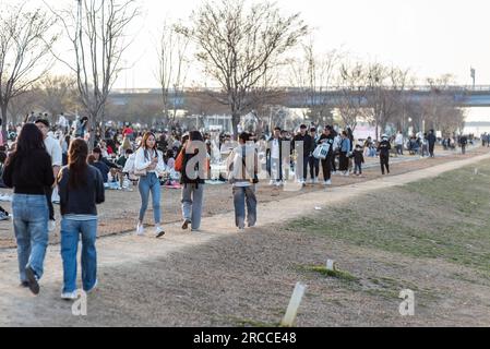 Picknick-Besucher im Yeouido-Park am Han-Fluss in Seoul, Südkorea, am 30. März 2023 Stockfoto