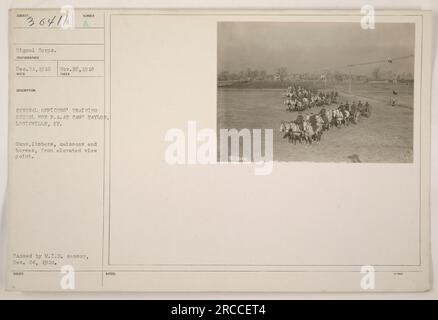 Das Bild zeigt einen erhöhten Blick auf Gewehre, Leisten, Kaiserbarsche und Pferde in der Central Officers Training School für P.A. im Camp Taylor in Louisville, KY. Aufgenommen von einem Fotografen des Signal Corps am 26. November 1918, ausgestellt mit einem am 24. Dezember 1918 von M.I.D. bestätigten Zensorstempel. Die Anmerkungen enthalten die Beschreibungsnummer 36411 und die Kennnummer 9030441. Stockfoto