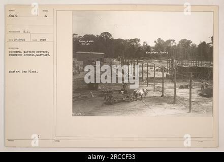 Dieses Foto zeigt die Senfgasanlage in Edgewood Arsenal, Maryland, im Jahr 1918. Die Anlage wurde vom Chemical Warfare Service betrieben und umfasste ein Kompressorhaus und Absorbereinheiten. Es ist Teil der Sammlung „Fotografien amerikanischer Militäraktivitäten während des Ersten Weltkriegs“. Stockfoto