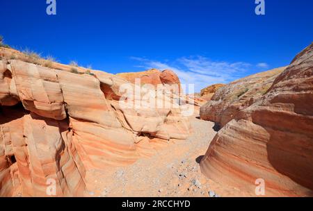 Trockenwäsche im Pastel Canyon - Valley of Fire State Park, Nevada Stockfoto