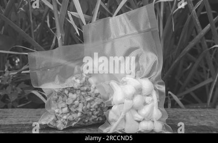 Kunststoff-Dichtmaschine. Vakuumverpackung von frischem Grün. Langfristige Lagerung von Produkten Stockfoto