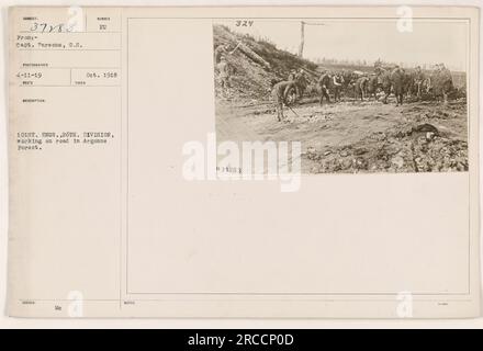 „EU 101. ENGR., 26. DIVISION, arbeitet auf der Straße im Wald von Argonne. Okt. 1918." Stockfoto