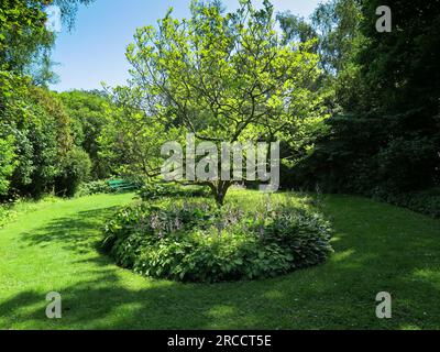 Hoveton Hall Gardens Stockfoto