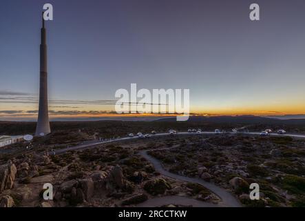 Riesenzapfen auf dem Mount Wellington, Hobart, Australien Stockfoto