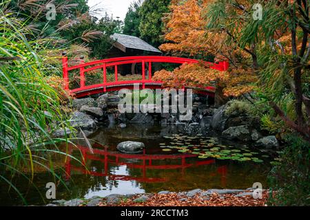 Japanischer Garten im Inneren der Royal Tasmanian Botanical Gardens in Hobart, Tasmanien, Australien Stockfoto