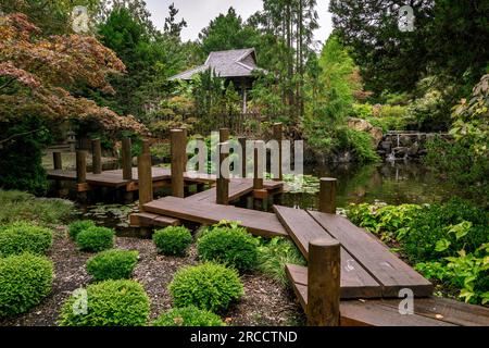 Japanischer Garten im Inneren der Royal Tasmanian Botanical Gardens in Hobart, Tasmanien, Australien Stockfoto