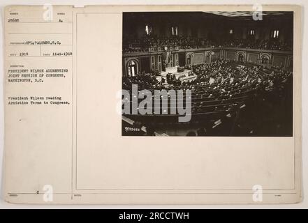 Präsident Wilson las die Waffenstillstandsklauseln vor dem Kongress, Washington, D.C. am 11. November 1918. Das Foto wurde von CPL Palumbo, S.C. aufgenommen (Symbol Nummer 25685) und ist Teil der Fotosammlung von amerikanischen Militäraktivitäten während des Ersten Weltkriegs. Stockfoto