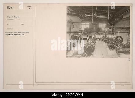 Soldaten in Gasmasken während einer Trainingsübung im Edgewood Arsenal, Maryland. Die Abbildung zeigt Mitglieder des Chemical Warfare Service, die sich auf potenzielle chemische Angriffe während des Ersten Weltkriegs vorbereiten. Stockfoto