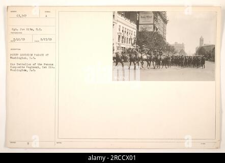 'Bild mit einer Parade des berühmten Composite Regiment, 1. Division in Washington, D.C. am 17. September 1919. Das Foto zeigt ein Bataillon Soldaten, die während der Parade marschieren. Sergeant Joe Hitz, S.C. wird als Fotograf anerkannt. Das Bild ist in der Sammlung mit 63.747 nummeriert.“ Stockfoto