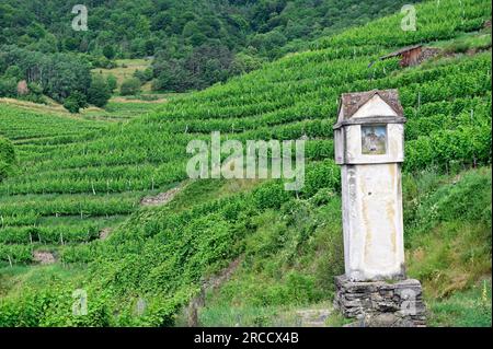 Spitz, Wachau, Niederösterreich, Österreich. 5. Juli 2023. Schrein am Wegesrand mit einem Bild des Heiligen Urbanus Stockfoto