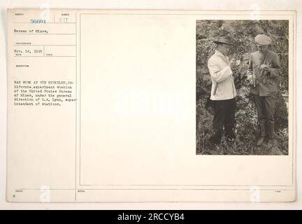 Kriegsarbeiter an der Berkeley Experimentierstation in Kalifornien, unter Aufsicht der Staatsanwaltschaft Lyon, Leiter der Stationen des United States Bureau of Mines. Foto aufgenommen am 14. November 1918, von einem unbekannten Fotografen des Minenbüros. Stockfoto