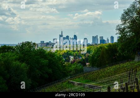 Blick auf die Frankfurter Skyline hinter einigen Häusern und grünen Bäumen mit einem Weinberg im Vordergrund unter bewölktem Sommerhimmel Stockfoto