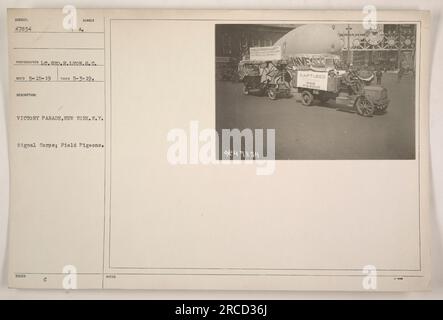 Soldaten und Kriegstauben marschieren in einer Siegesparade in New York City. Das Bild wurde von Lieutenant Geo H.H. aufgenommen Lyon vom Signalkorps am 3. Mai 1919. Die Tauben wurden vom Militär für Kommunikationszwecke im Ersten Weltkrieg benutzt Stockfoto