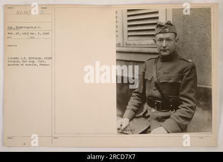 Sgt. Nightingale, SC, ist auf diesem Foto zu sehen, das am 26. Februar 1919 aufgenommen wurde. Die Beschreibungsnummer für dieses Bild ist 40367 und sie wurde von Colonel C.R. herausgegeben Reynolds, Chefchirurg der 2. Armee. Der Ort des Fotos ist Toul, Meurthe et Moselle, Frankreich. Diese Informationen wurden am 3. Dezember 1918 aufgezeichnet. Stockfoto