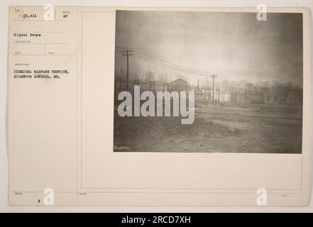 Mitglieder des Chemical Warfare Service am Edgewood Arsenal in Maryland werden bei einer Operation im Ersten Weltkrieg vorgestellt. Es ist unklar, welche spezifische Aktivität auf dem Foto stattfindet. Das Bild wurde vom Signalkorps aufgenommen und herausgegeben. Stockfoto