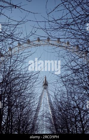 Riesenrad zwischen Zweigen am blauen Himmel Stockfoto