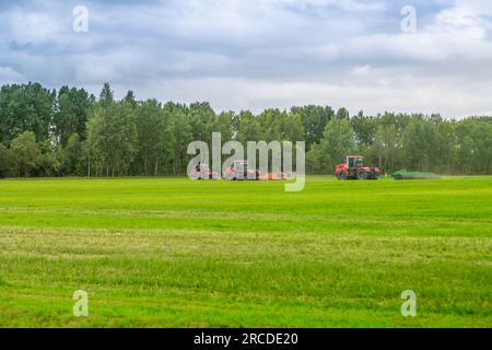 Russland, Region Leningrad - Juni, 2019: Arbeitskörper von Geräten für den Landanbau. Landmaschinen. Stockfoto