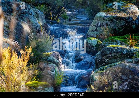 Kleine Wasserfälle über Granitfelsen, Glen Elgin Creek, New England Tablelands, NSW Australien Stockfoto