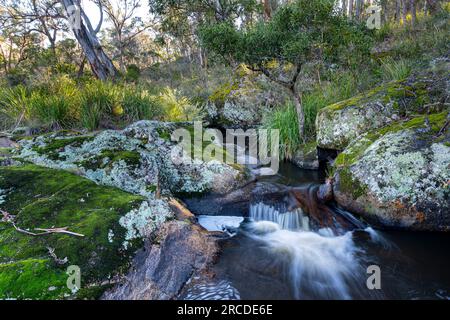 Kleine Wasserfälle über Granitfelsen, Glen Elgin Creek, New England Tablelands, NSW Australien Stockfoto