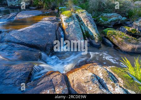 Kleine Wasserfälle über Granitfelsen, Glen Elgin Creek, New England Tablelands, NSW Australien Stockfoto