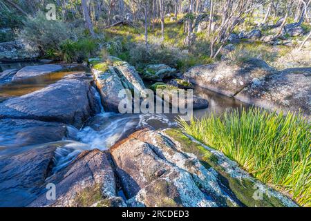 Kleine Wasserfälle über Granitfelsen, Glen Elgin Creek, New England Tablelands, NSW Australien Stockfoto