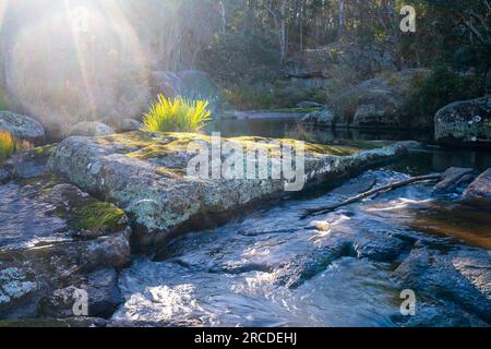 Kleine Wasserfälle über Granitfelsen, Glen Elgin Creek, New England Tablelands, NSW Australien Stockfoto