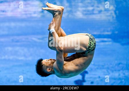 Fukuoka, Japan. 14. Juli 2023. Rikuto Tamai aus Japan nimmt an der 1m Men's Springboard Preliminary während der 20. World Aquatics Championships im Fukuoka Präfekturpool in Fukuoka (Japan) am 14. Juli 2023 Teil. Kredit: Insidefoto di andrea staccioli/Alamy Live News Stockfoto