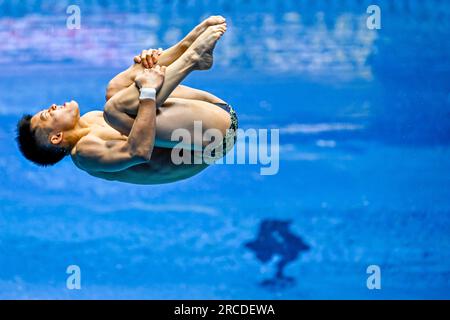 Fukuoka, Japan. 14. Juli 2023. Rikuto Tamai aus Japan nimmt an der 1m Men's Springboard Preliminary während der 20. World Aquatics Championships im Fukuoka Präfekturpool in Fukuoka (Japan) am 14. Juli 2023 Teil. Kredit: Insidefoto di andrea staccioli/Alamy Live News Stockfoto