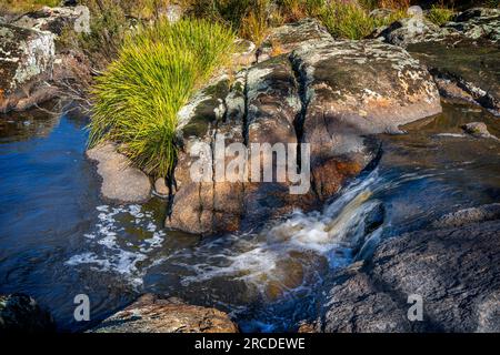 Kleine Wasserfälle über Granitfelsen, Glen Elgin Creek, New England Tablelands, NSW Australien Stockfoto