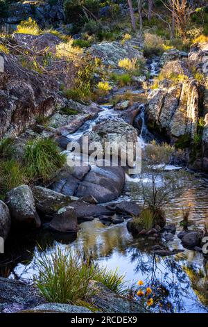 Kleine Wasserfälle über Granitfelsen, Glen Elgin Creek, New England Tablelands, NSW Australien Stockfoto