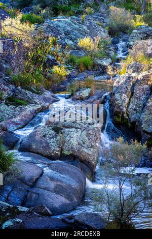 Kleine Wasserfälle über Granitfelsen, Glen Elgin Creek, New England Tablelands, NSW Australien Stockfoto
