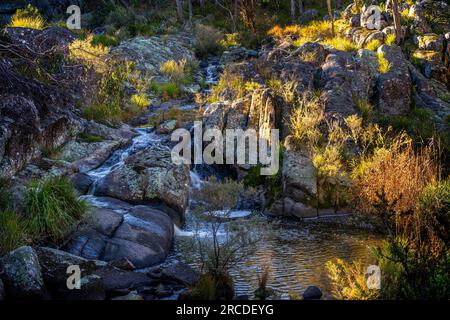 Kleine Wasserfälle über Granitfelsen, Glen Elgin Creek, New England Tablelands, NSW Australien Stockfoto
