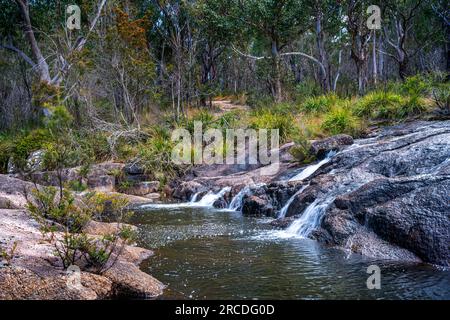 Little Basket Swamp Waterfall, Basket Swamp National Park, New England Tablelands, NSW Australien Stockfoto