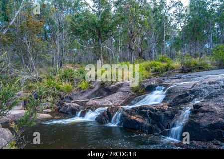 Little Basket Swamp Waterfall, Basket Swamp National Park, New England Tablelands, NSW Australien Stockfoto