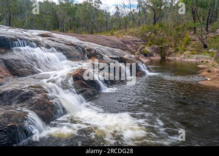 Little Basket Swamp Waterfall, Basket Swamp National Park, New England Tablelands, NSW Australien Stockfoto