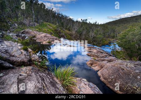 Blick auf das Tal von der Spitze des Basket Swamp Wasserfalls, Basket Swamp National Park, New England Tablelands, NSW Australien Stockfoto