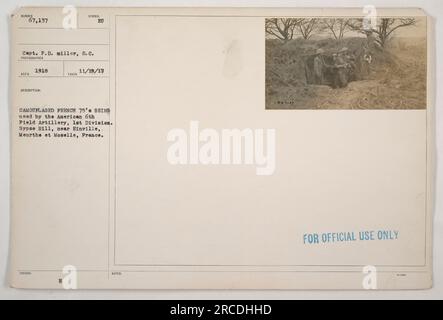 Amerikanische Soldaten der 6. Artillerie werden dabei beobachtet, wie sie getarnte französische 75-Artillerie-Geschütze auf dem Gypse Hill bei Einville, Meurthe und Moselle, Frankreich, einsetzen. Das Foto wurde am 19. November 1917 von Captain P.D. aufgenommen Miller und ist mit Artikelnummer 67.137 beschriftet. Stockfoto