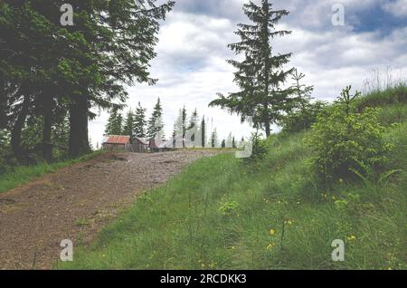 Reiseinhalte. Alpenlandschaft der ukrainischen Karpaten nach dem Regen Stockfoto