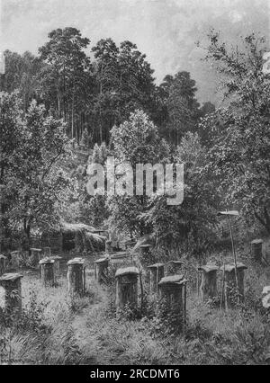 Bienenfamilien 1884 von Ivan Shishkin Stockfoto