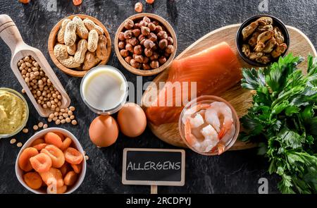 Zusammensetzung mit gängigen Lebensmittelallergenen wie Eier, Milch, Soja, Nüsse, Fisch, Meeresfrüchte, Senf, getrocknete Aprikosen und Sellerie Stockfoto
