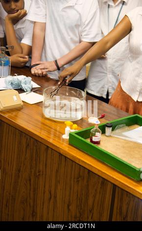 Kinder in einem Chemielabor, die ein Experiment machen Stockfoto