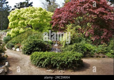 Landschaften in den National Botanic Gardens, Dublin, Irland 05.05.2023. Stockfoto