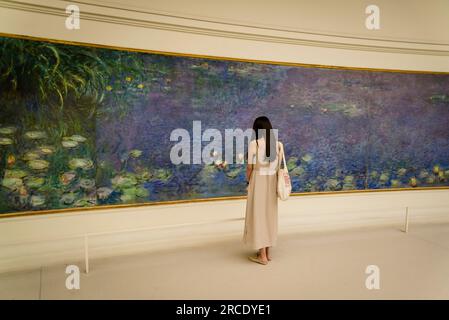 Claude Monets großes Gemälde mit Seerosen, Musée de l'Orangerie, eine Kunstgalerie impressionistischer und postimpressionistischer Gemälde, Paris, Frankreich Stockfoto