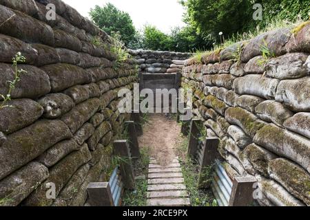 Gräben aus dem Ersten Weltkrieg, bekannt als Yorkshire Gräben, Ypern, Belgien, EU Stockfoto