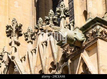 Detailansicht eines Gargoyles in der Metz-Kathedrale von St. Stephen, Frankreich, Europa, Frankreich, Europa, Frankreich, Europa Stockfoto