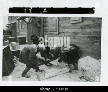 SS-Fotograf Eines Norwegische SS 1943 Feldausbildung, Einberufungszeremonie, Winterszenen mit Soldaten im Dorf Bilder, die die Frontaktivitäten der Waffen-SS-Einheiten an der westlichen und östlichen Front, einschließlich Polen, Frankreich, Balkan, Italien, darstellen Und Russland sowie Trainingsübungen, Porträts von Einzelpersonen und Gruppenansichten und Szenen von Städten und der lokalen Bevölkerung. Stockfoto