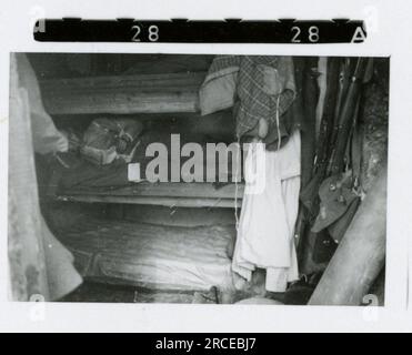 SS-Fotograf Eines Norwegische SS 1943 Feldausbildung, Einberufungszeremonie, Winterszenen mit Soldaten im Dorf Bilder, die die Frontaktivitäten der Waffen-SS-Einheiten an der westlichen und östlichen Front, einschließlich Polen, Frankreich, Balkan, Italien, darstellen Und Russland sowie Trainingsübungen, Porträts von Einzelpersonen und Gruppenansichten und Szenen von Städten und der lokalen Bevölkerung. Stockfoto