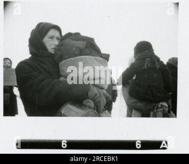 SS-Fotograf Eines Norwegische SS 1943 Feldausbildung, Einberufungszeremonie, Winterszenen mit Soldaten im Dorf Bilder, die die Frontaktivitäten der Waffen-SS-Einheiten an der westlichen und östlichen Front, einschließlich Polen, Frankreich, Balkan, Italien, darstellen Und Russland sowie Trainingsübungen, Porträts von Einzelpersonen und Gruppenansichten und Szenen von Städten und der lokalen Bevölkerung. Stockfoto